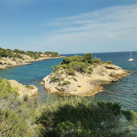 Mediterrani Haus Ла-Амеллья-де-Мар Экстерьер фото